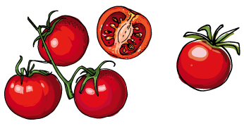 tomatoes